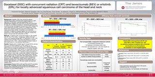 Phase II randomized trial of radiotherapy (RT), cetuximab (E), and ...